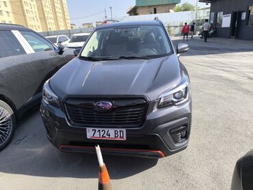 Subaru: Subaru Forester: 2019 г., 2.5 л, Вариатор, Бензин, Кроссовер — 10