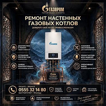 Ремонт и сервис настенных газовых котлов Профессиональное
