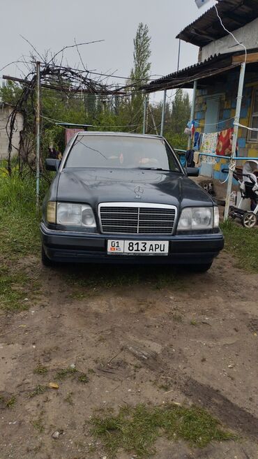 mercedes w124 e500 купить в россии: Mercedes-Benz W124: 1991 г., 2.6 л, Механика, Бензин, Седан