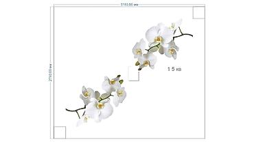 c 220: Монтаж потолков, Монтаж потолочных плинтусов Больше 6 лет опыта — 3