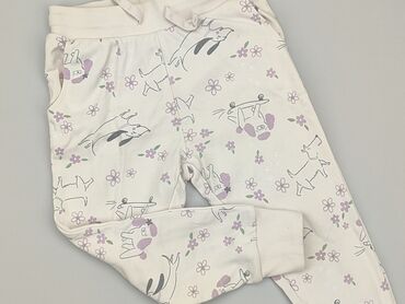 dresowe spodenki sinsay: Sweatpants, Cool Club, 3-4 years, 104, condition - Good