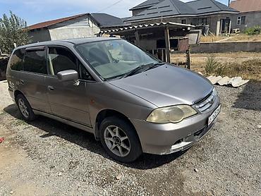 voxy noah: Honda Odyssey: 2003 г., Автомат, Минивэн — 7