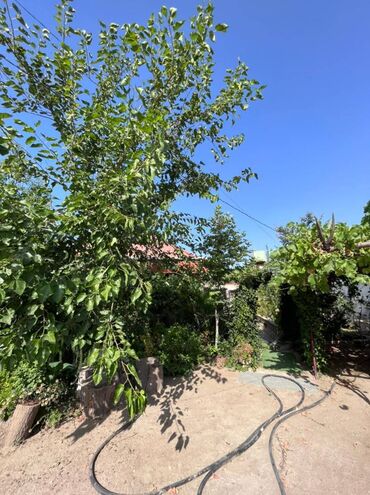 Bağ evlərinin kirayəsi: Pirşağı qəs., 130 kv. m, 4 otaqlı, Hovuzsuz, Qaz, Su — 19