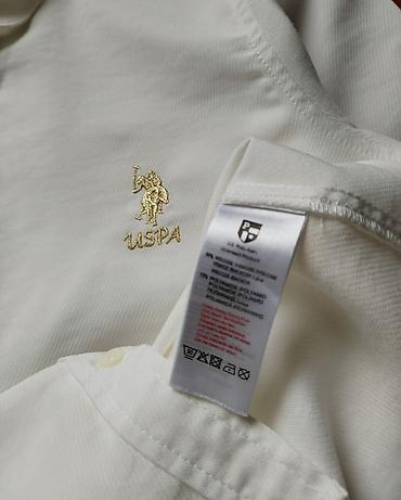 massimo duty: Polo ASSN košulja sa vezenim logom. Veličina XS. Perfektno stanje ☆ — 3
