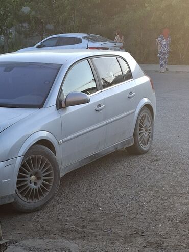 машина за 300 тысяч: Opel Signum: 2004 г., 2.2 л, Механика, Бензин, Универсал