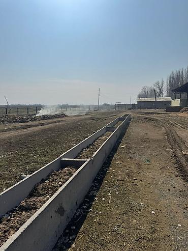 Сдаю кошару в аренду сарай 90м есть дом для рабочих и для хозяина — 4