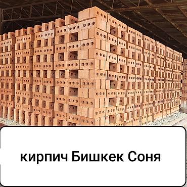 Пустотелый, дырчатый, Жженый кирпич, Полублок, 250×120×90