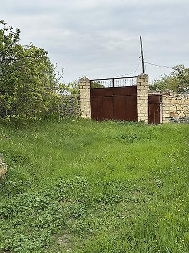 31 sot, Tikinti, Mülkiyyətçi, Kupça (Çıxarış) lalafo.az -da 31 sot, Tikinti, Mülkiyyətçi, Kupça (Çıxarış)