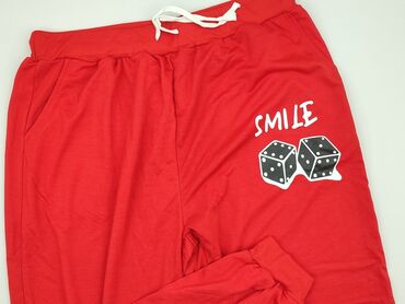 spodnie dresowe damskie 4f szare: Sweatpants for women, Tulle, size 3XL (EU 46)