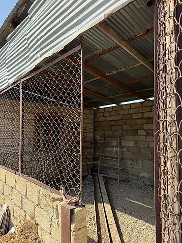 Torpaq sahələrinin satışı: 32 sot, Kənd təsərrüfatı, Barter mümkündür, Kupça (Çıxarış) — 9