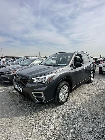 spark 7: Subaru Forester: 2019 г., 2.5 л, Вариатор, Бензин, Кроссовер — 1