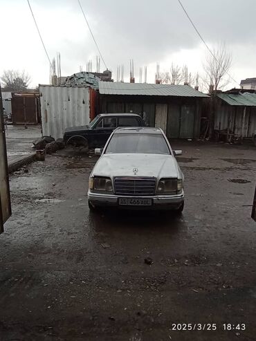 Mercedes-Benz: Mercedes-Benz S 260: 1991 г., 2.6 л, Механика, Бензин, Седан
