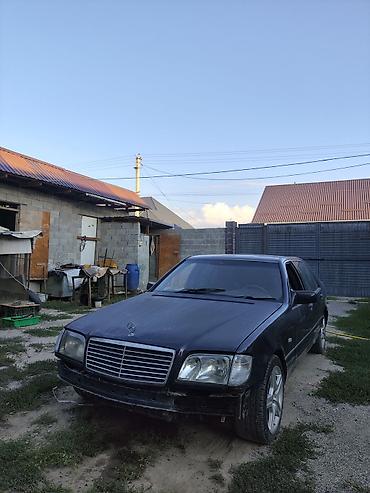 220 s500: Mercedes-Benz S-Class: 1995 г., 3.2 л, Автомат, Бензин, Седан — 2