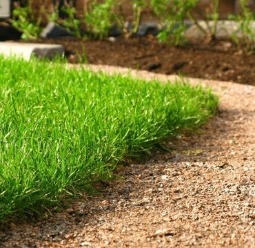 газон коврик: Сеем газон любого сорта качественно и професинально семена, удобрения