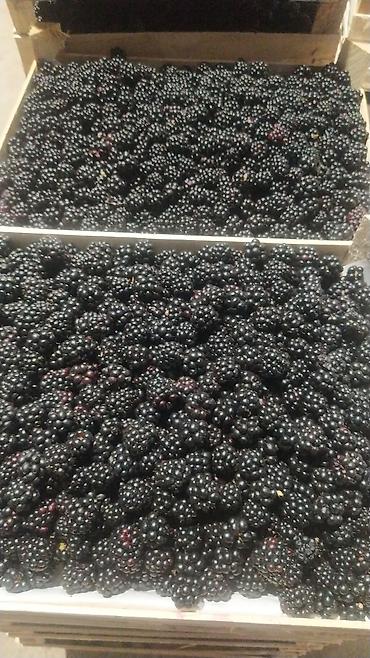 Клубника: Клубника — 17