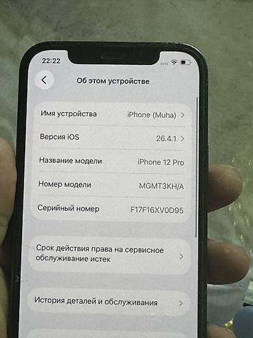 apl: IPhone 12 Pro, Б/у, 256 ГБ, Sierra Blue, Чехол — 5