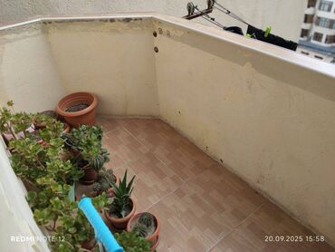 Yeni tikili: 2 otaqlı, Yeni tikili, 92 kv. m — 3