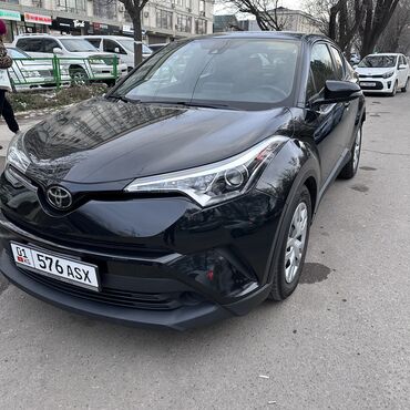 Toyota: Toyota C-HR: 2019 г., 2 л, Вариатор, Бензин, Кроссовер