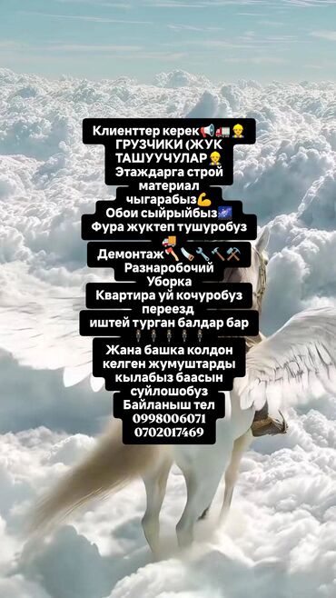 я ищу работу начной смена: Жүк ташуучу. 6 жылдан ашык тажрыйба