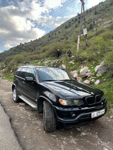 bmw x5 2023: BMW X5: 2003 г., 4.6 л, Автомат, Газ