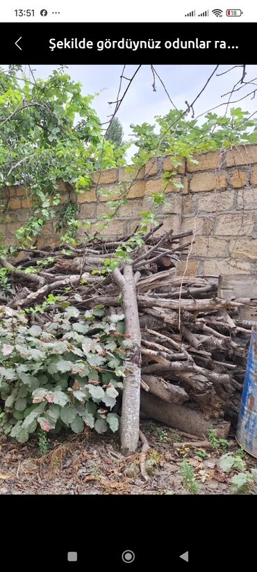 Toxumlar: Yandırılmaq üçün istifadə oluna bilən müxtəlif ölçülü və qalınlıqlı
