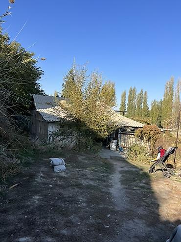 Ковры и паласы: Продается дом участок 7 соток дом 4 комнаты зал кухня газ подключен — 18