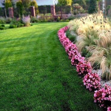 Toxumlar: Qazon sifarişi qəbul olunur yüksək keyfiyyətli danimarka toxumu ilə -da lalafo.az — 7 Toxumlar: Qazon sifarişi qəbul olunur yüksək keyfiyyətli danimarka toxumu ilə — 7