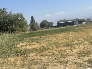 Продажа участков: 27000 соток, Для строительства, Договор купли-продажи — 12