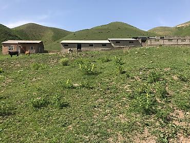 Кыймылсыз мүлк: Сдаю в аренду кошару сарай Чуйский район Чуйская область село Шамши — 10