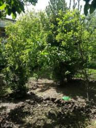 Həyət evləri və villaların satışı: 3 otaqlı, 116 kv. m, Orta təmir — 6