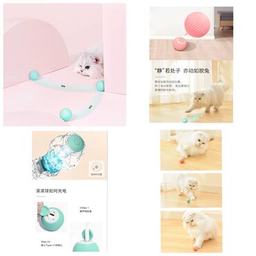 Зоотовары: ПРОДАЮ КОШАЧЬЮ МЯТУ(АНТИСТРЕСС),ПОРАДУЙТЕ СВОГО КОТИКА ТАКОЙ at lalafo.kg — 11 Зоотовары: ПРОДАЮ КОШАЧЬЮ МЯТУ(АНТИСТРЕСС),ПОРАДУЙТЕ СВОГО КОТИКА ТАКОЙ — 11