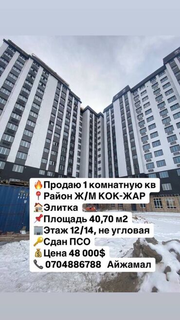 Продажа домов: 1 комната, 40 м², Элитка, 12 этаж, ПСО (под самоотделку)