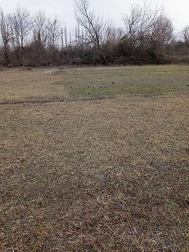 seki torpaq: 18 sot, Tikinti, Mülkiyyətçi, Kupça (Çıxarış) — 1