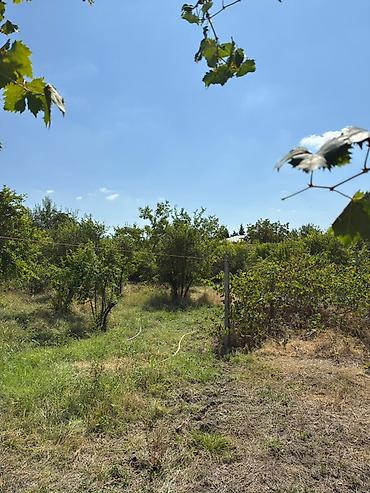 Həyət evləri və villaların satışı: 3 otaqlı, 72 kv. m — 21
