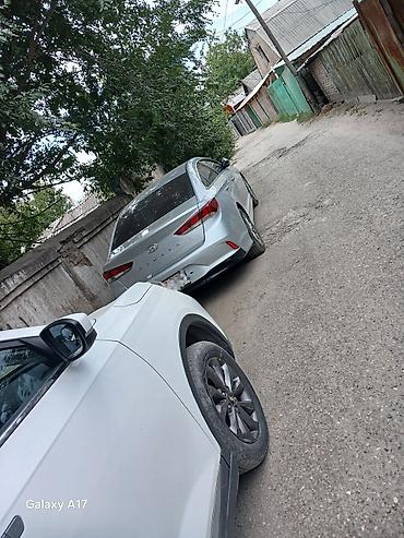 морлинк: Hyundai Sonata: 2019 г., 2 л, Автомат, Бензин, Седан — 2