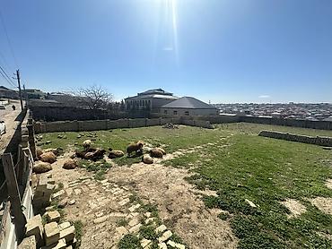 a frame: 6 sot, Tikinti, Maklerlər narahat etməsin, Kupça (Çıxarış) — 9
