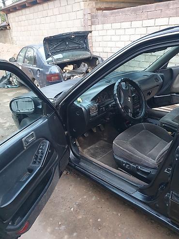 Продажа авто: Honda Accord: 1993 г., 2 л, Механика, Бензин, Универсал — 6