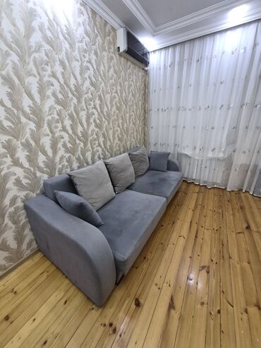 Otaq bitkiləri: Di̇van-kravat, Açılan, Bazalı, Ödənişli çatdırılma lalafo.az -da Otaq bitkiləri: Di̇van-kravat, Açılan, Bazalı, Ödənişli çatdırılma