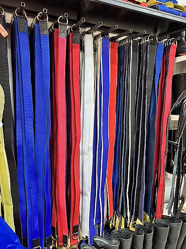 Другие животные: Ат жабдыктар — 7