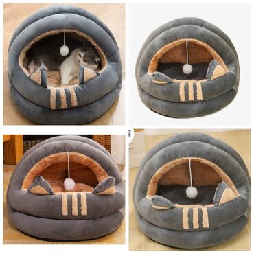 Зоотовары: ПРОДАЮ КОШАЧЬЮ МЯТУ(АНТИСТРЕСС),ПОРАДУЙТЕ СВОГО КОТИКА ТАКОЙ at lalafo.kg — 22 Зоотовары: ПРОДАЮ КОШАЧЬЮ МЯТУ(АНТИСТРЕСС),ПОРАДУЙТЕ СВОГО КОТИКА ТАКОЙ — 22