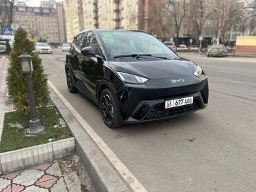 BYD: BYD : 2024 г., 0.1 л, Вариатор, Электромобиль, Хэтчбэк