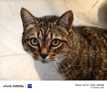 512: Vivo X200, Б/у, 512 ГБ, цвет - Зеленый, 2 SIM — 9