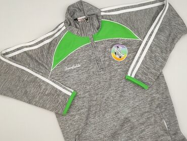 Sweatshirt, 11 years, 140-146 cm, condition - Perfect