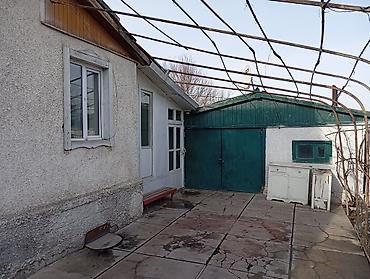 Деревянные штакетники: Деревянные штакетники, Покраска забора — 6