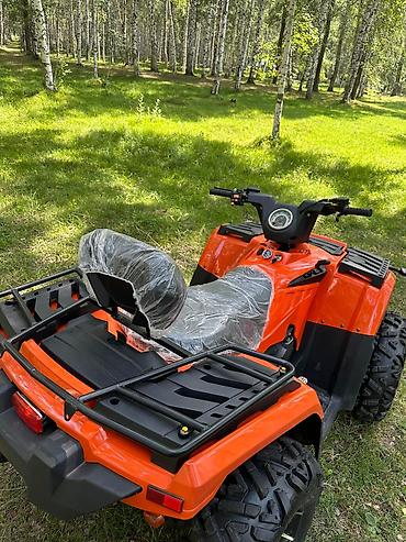 Квадроциклы: Квадроцикл Бензин, 420 куб. см, Взрослый — 13