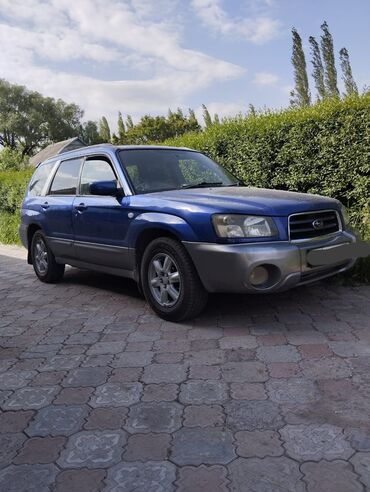 скупка старых машин: Subaru Forester: 2003 г., 2 л, Автомат, Бензин, Кроссовер