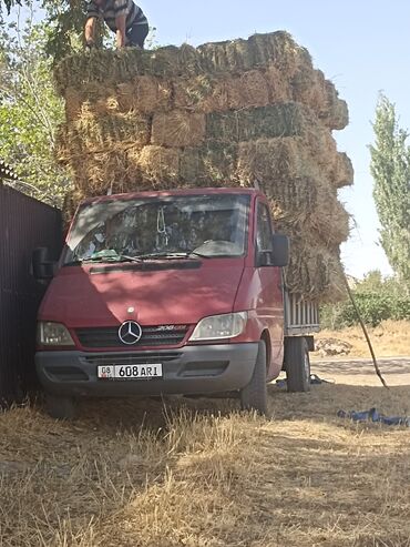 арпа баасы: Куплю сено клевер аралаш с поля самовывоз