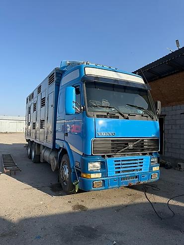 кормушки для животных: Грузовик, Volvo, Б/у — 10