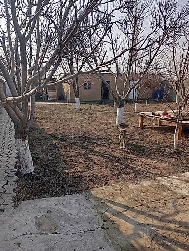 Продажа коттеджей и домов: Продажа хорошие дом для себя построили локацию хороший школы и детские at lalafo.kg — 1 Продажа коттеджей и домов: Продажа хорошие дом для себя построили локацию хороший школы и детские — 1