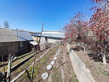 Продажа дач: Продам отличную дачу!!! Начало Таш-Мойнок!!! Ориентир Аква Парк " — 6